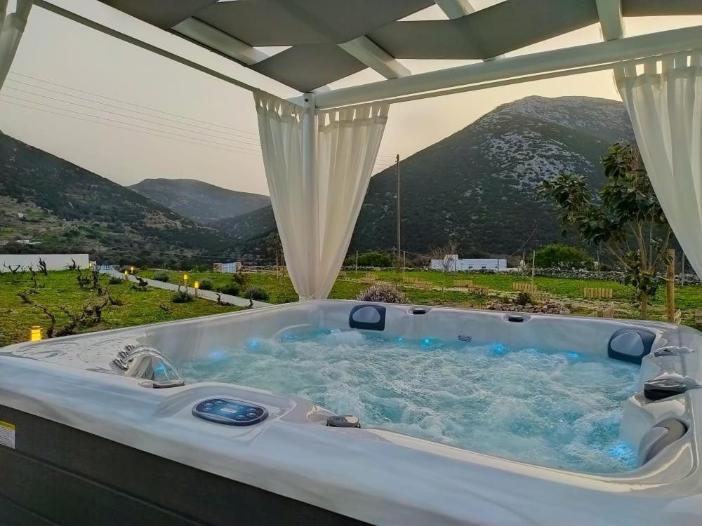 Geoni'S Villa & Garden Spa Apollonía Extérieur photo